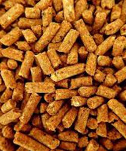 Sub Category Product Image