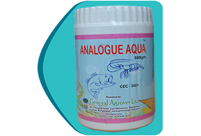 Analogue Aqua 500gm