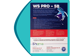 WS-PRO-5B