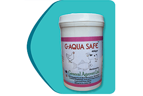 G-Aqua Safe -400gm